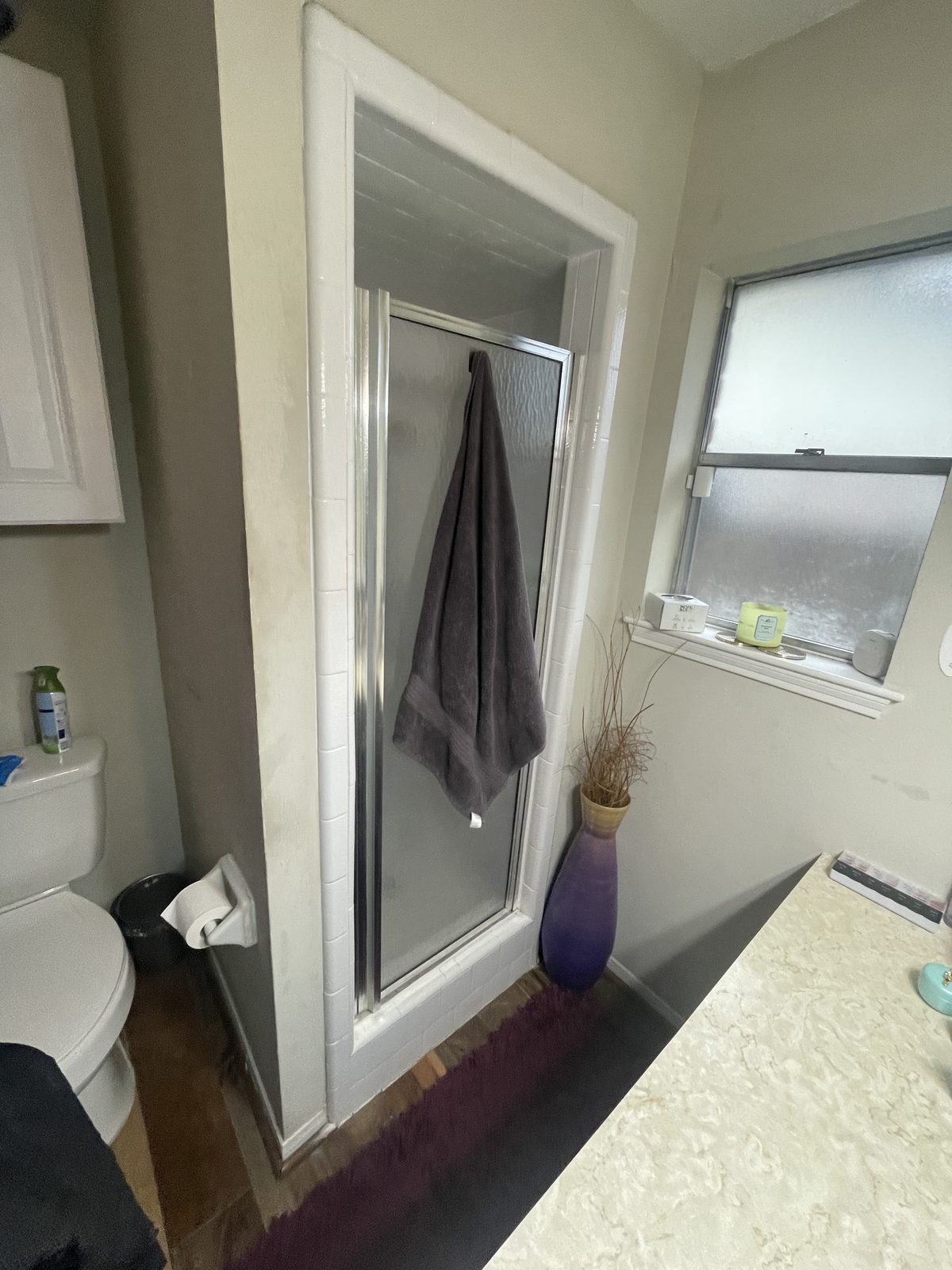 Fox Run Master Bath Remodel — existing bathroom before the remodel